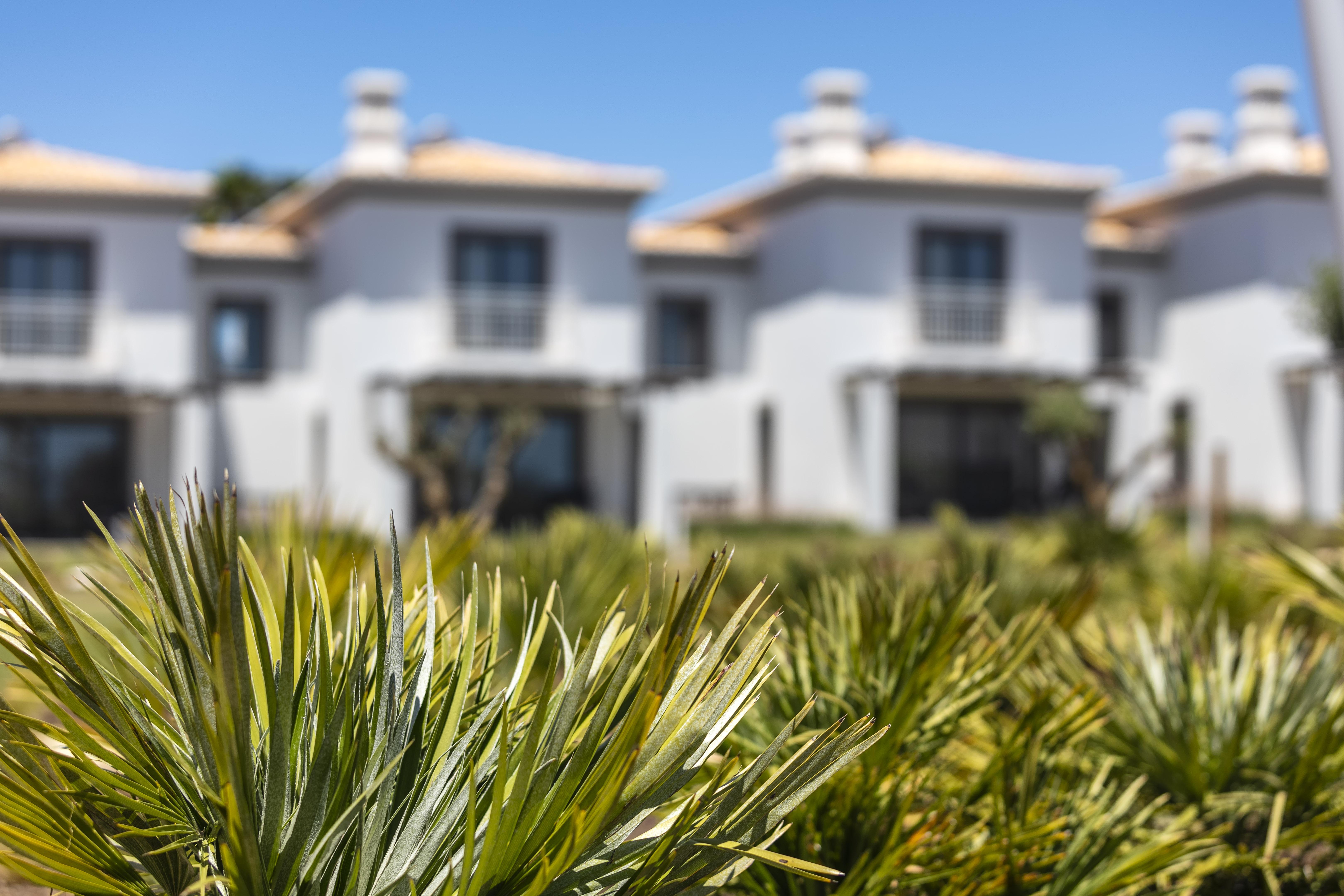 Quinta Do Algarvio Village Carvoeiro  Luaran gambar